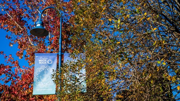 Autumn in White Rock brings you arts &amp; culture, craft beer and some local love. To inspire you to get out of your weekend routine, we invite you to come to White Rock and check out of some of the events &amp; activities happening this fall. #explorewhiterock explorewhiterock.com/whats-happenin…