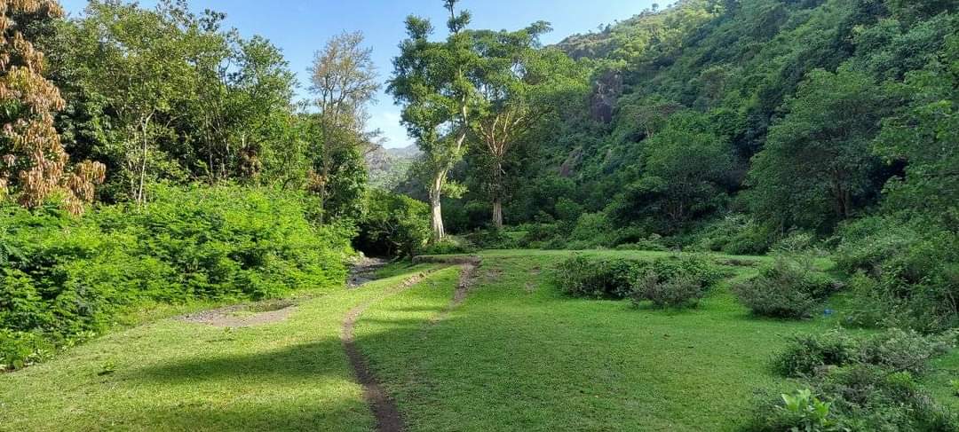 ومثل ماقال مساعد الرشيدي :
فينا كرامة نفوس .. وعندنا مبدأ
لو يرخص الوقت ما ترخص مبادينا