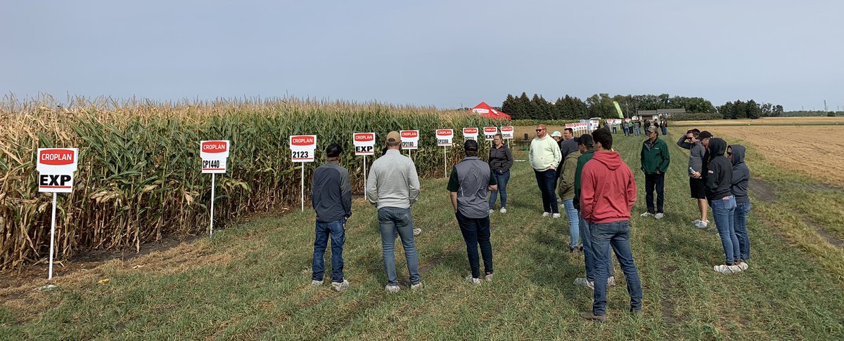 David Van Dam tweet media