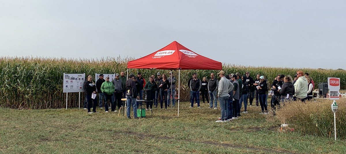 David Van Dam tweet media