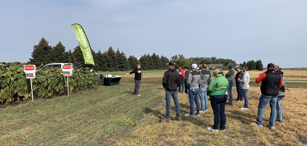 David Van Dam tweet media