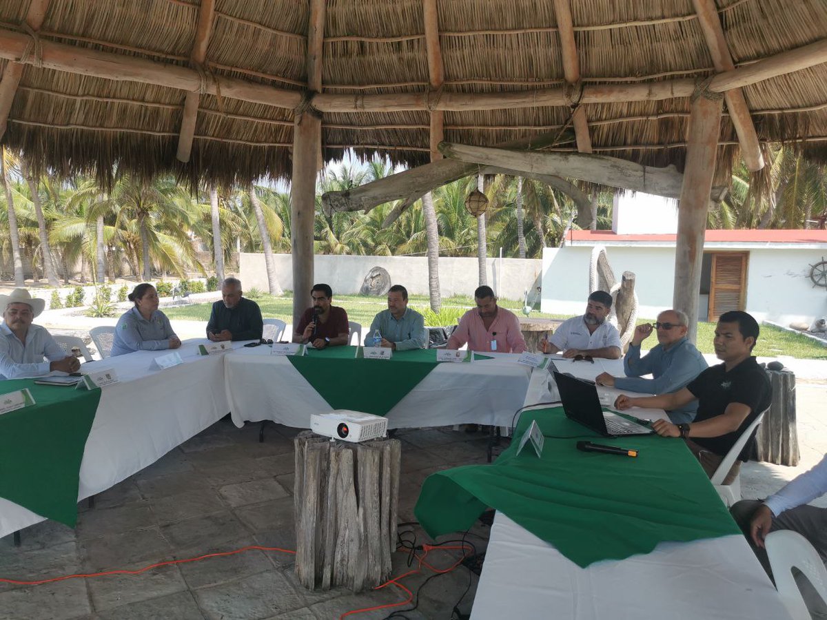 SEMADET Jalisco tweet media