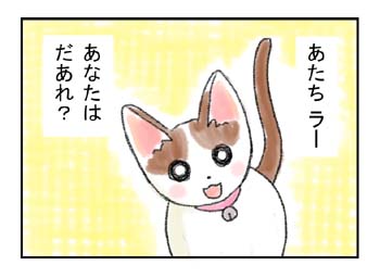 ブログ更新。昨日の4コマと写真2枚アップしています。
bit.ly/3xouKB8
#4コマ #猫漫画 #元野良猫