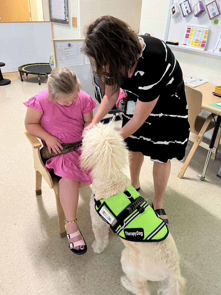 MECC_Counselor2's tweet photo. Our favorite part of Wednesdays is spending time with our special friends! Shiner 💚s their BIG smiles when he visits them!! 💚🐾 #Shinerlove #MVPs #MostValuablePups #CoMECCtion @MrsBly_MECC @MasonSchools @schatzj9 https://t.co/ki1NIM0qA7