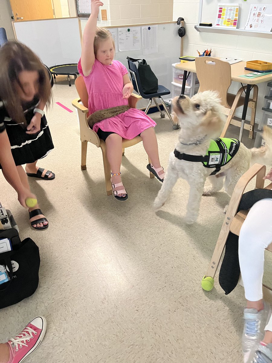 MECC_Counselor2's tweet photo. Our favorite part of Wednesdays is spending time with our special friends! Shiner 💚s their BIG smiles when he visits them!! 💚🐾 #Shinerlove #MVPs #MostValuablePups #CoMECCtion @MrsBly_MECC @MasonSchools @schatzj9 https://t.co/ki1NIM0qA7