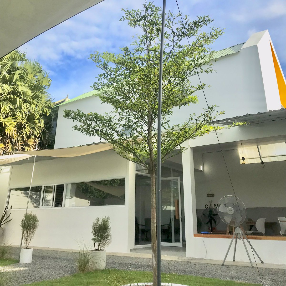 2002ishere's tweet image. 🌳🥤☁️