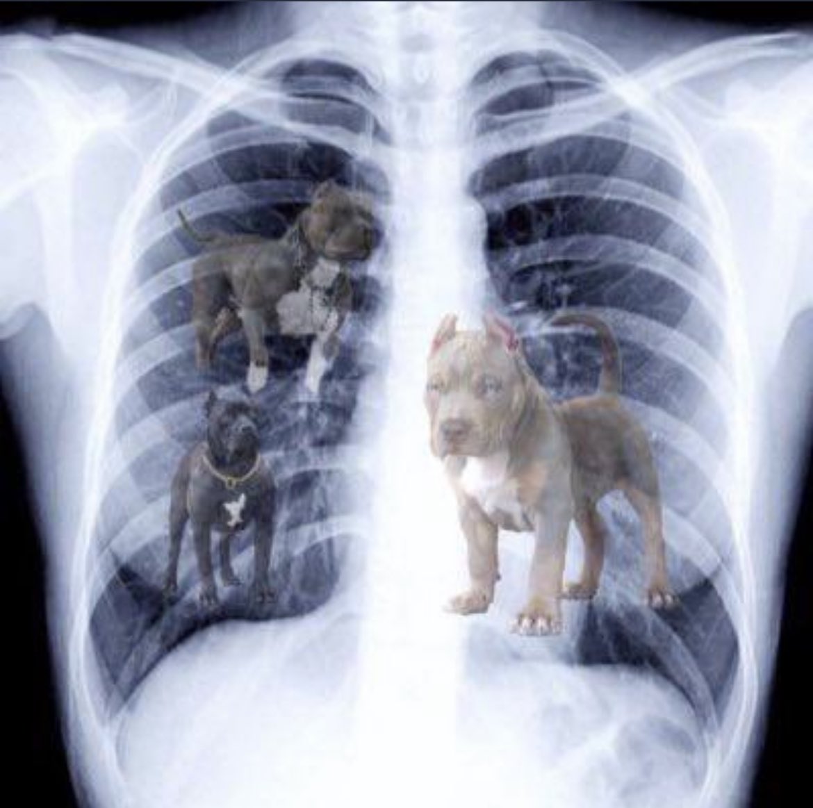 Retired𓃶 (@somuchpain1k) on Twitter photo 