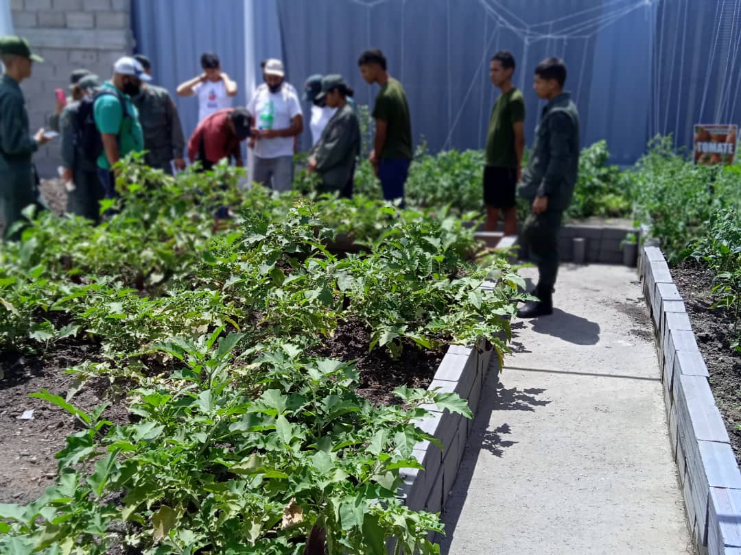 📢 #Entérate || Este Gran Comando recibió al personal técnico del Ministerio del Poder Popular para la Agricultura Urbana, a fin de contribuir al mejoramiento de las Unidades Socioproductivas de la Aviación del Ejército.
#VenezuelaMultiproductiva #ArmaMaestra #Venezuela #14Sep