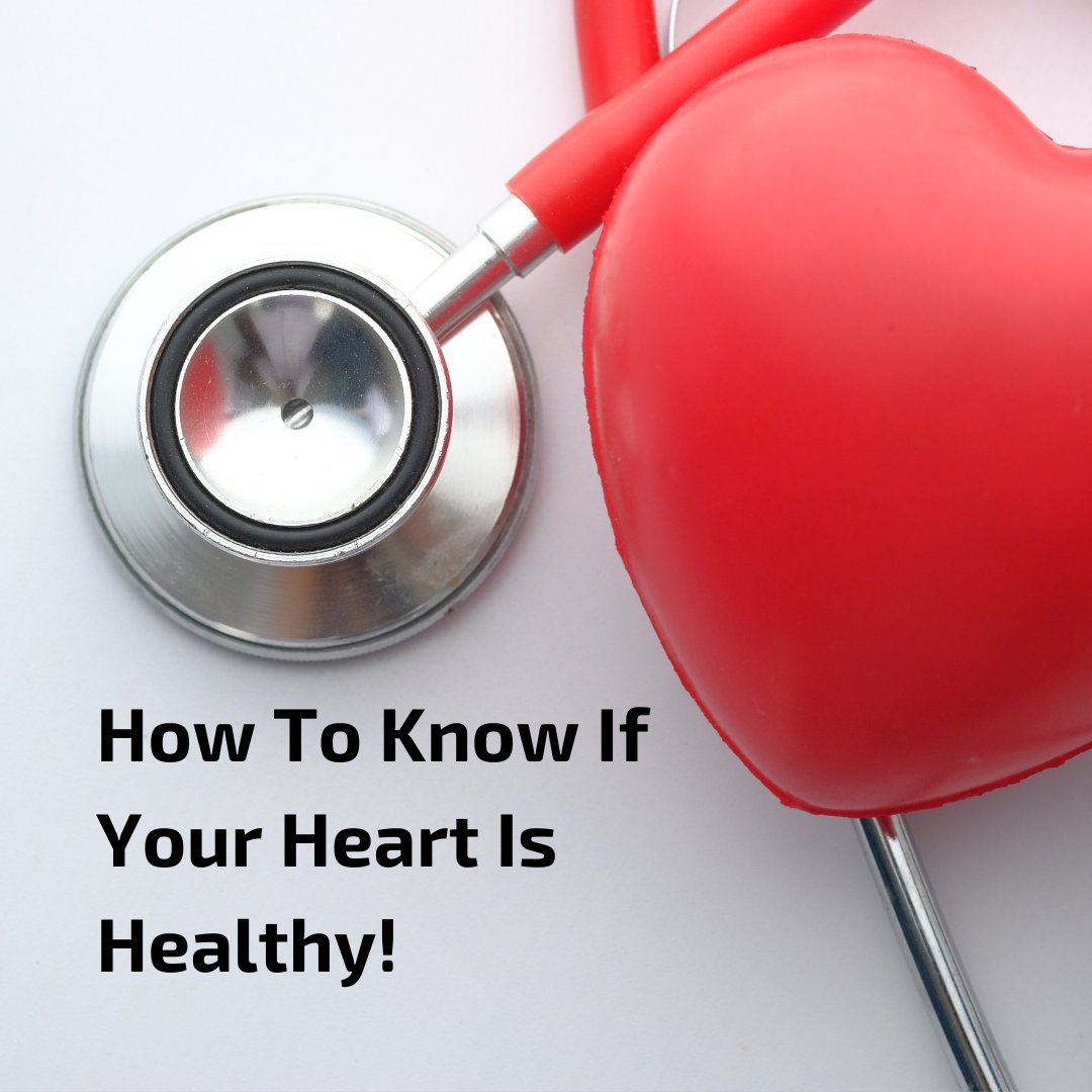 FitTrackAU's tweet photo. September 29 is #WorldHeartDay!❤️Are there any lifestyle changes you can make to ensure your heart is at its best? What is #CardiovascularDisease (aka CVD)? For the answer to these questions and more, read our blog! https://t.co/lx1y0i7Iuw