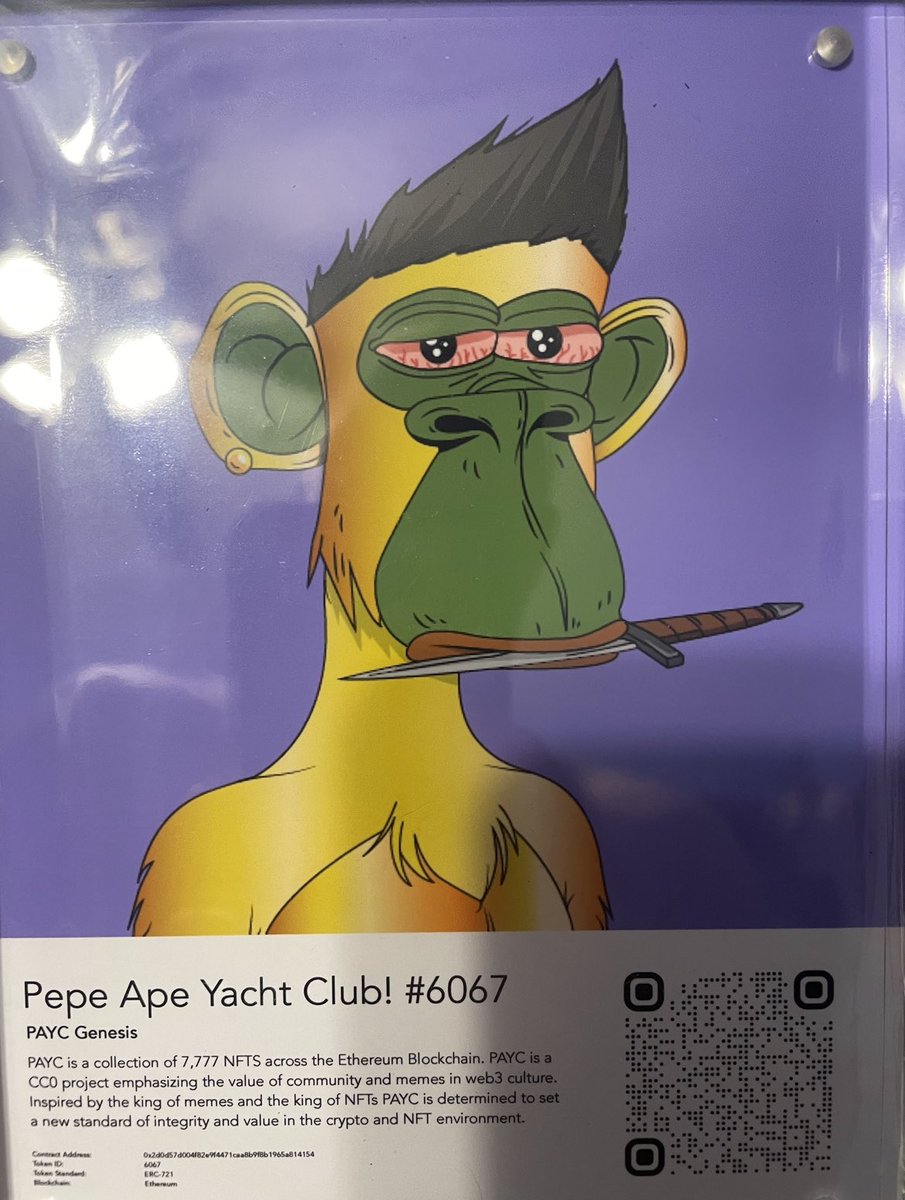 Got my <a href="/MyPhysicalNFT/">My Physical NFT</a> delivered, it’s so sick, such an awesome product!!! Shhheeeeeeeeeeeeesh! #PAYC #PAYCPortal #PAYCTAKEOVER