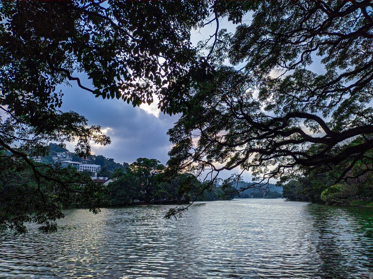 Pradeep Hewage tweet media