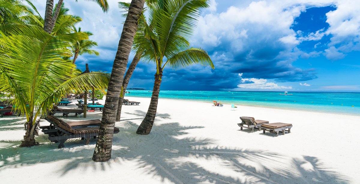 BizNews.com tweet media