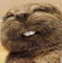 Me23081's tweet photo. Guuuuten Morgen Ihr lieben Schnufflnasen ☕️🙂☕️ habt einen tollen Donnerstag, ich dreh mich nochmal um 😉😴 bis später 💗💗💗
#tooearly #schlummern #thursdaymorning https://t.co/qIasclMBj4