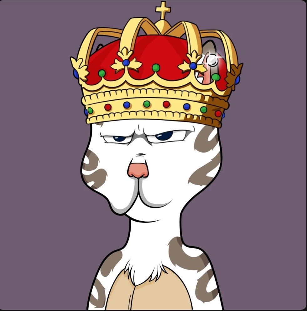 CryptoWatcherOG's tweet photo. @magicapeballs @DeadRabbitRS @ChilledKongs @BossCatRC @DerpBirdsNFT https://t.co/wKjjowGS98