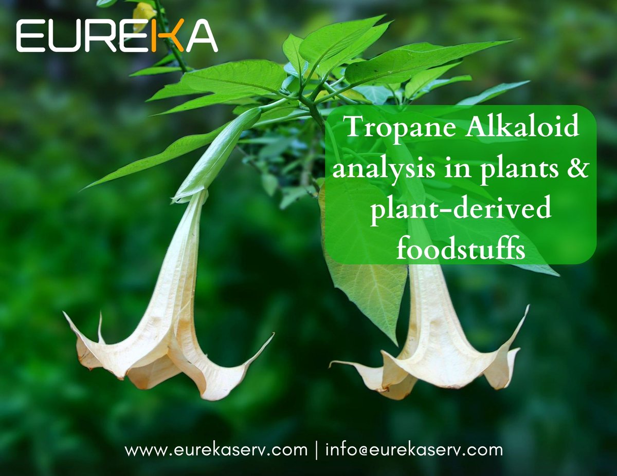 eureka_serv's tweet photo. To know more about the tropane alkaloid analysis, please visit https://t.co/hvqXi6yGCb or mail us at info@eurekaserv.com

#alkaloids #tropanealkaloid #eurekaserv #testwiththebest #yourhealthmatters https://t.co/lIe7dLjSIb