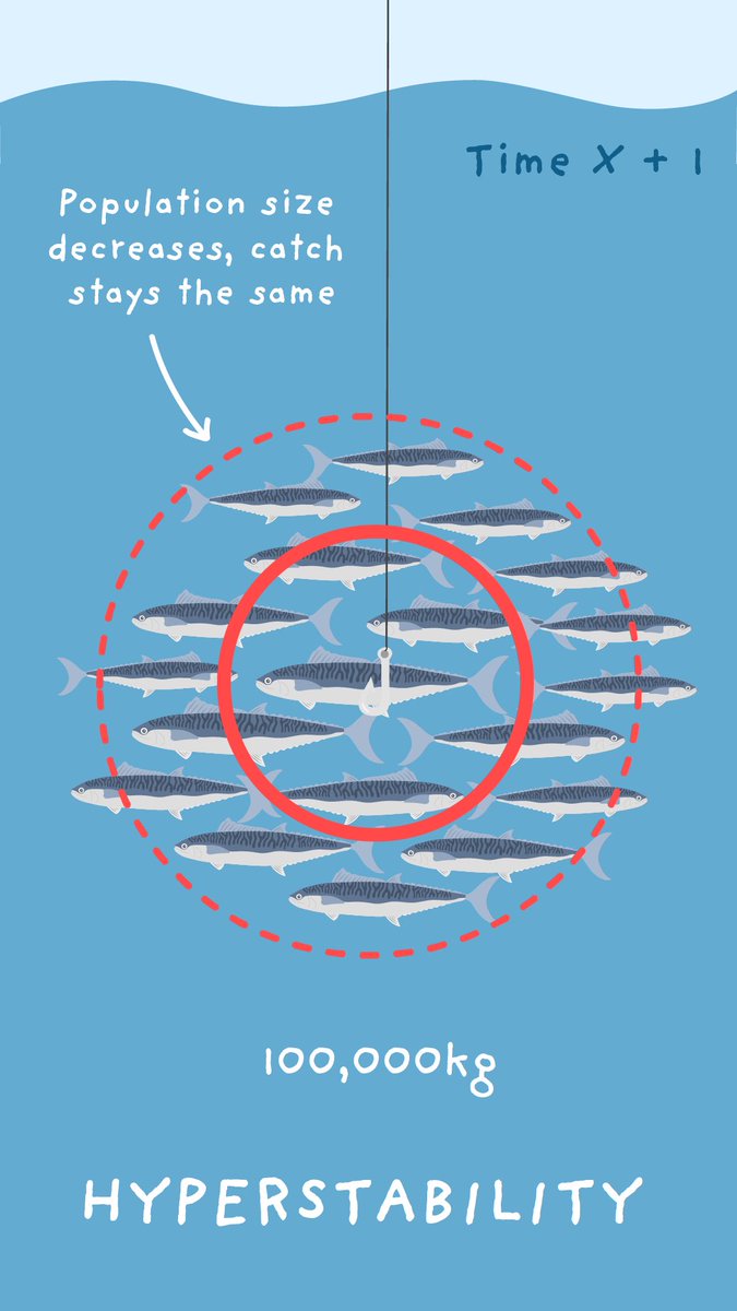 olivia_scicomm's tweet photo. Feeling disgruntled about the Spanish mackerel fishery management decisions? It is important to understand that these measures are supported by evidence-based science and will help to ensure the sustainability of the fishery (so it can be enjoyed by future fishing generations!) https://t.co/cytFZHhFIf