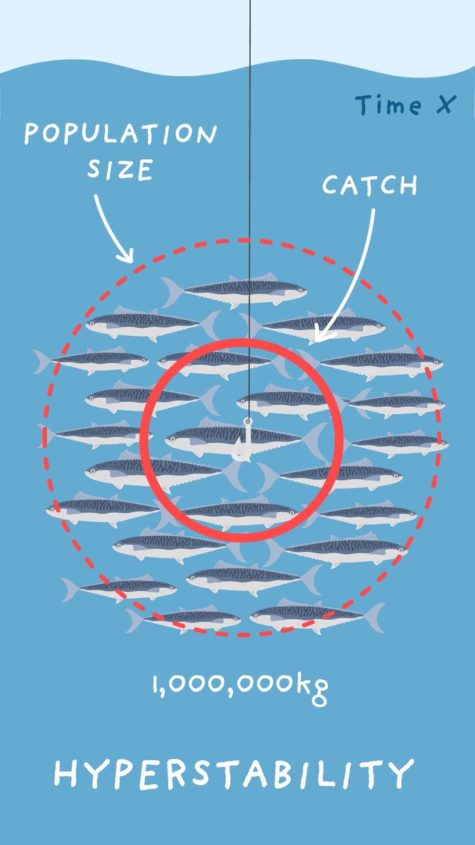 olivia_scicomm's tweet photo. Feeling disgruntled about the Spanish mackerel fishery management decisions? It is important to understand that these measures are supported by evidence-based science and will help to ensure the sustainability of the fishery (so it can be enjoyed by future fishing generations!) https://t.co/cytFZHhFIf