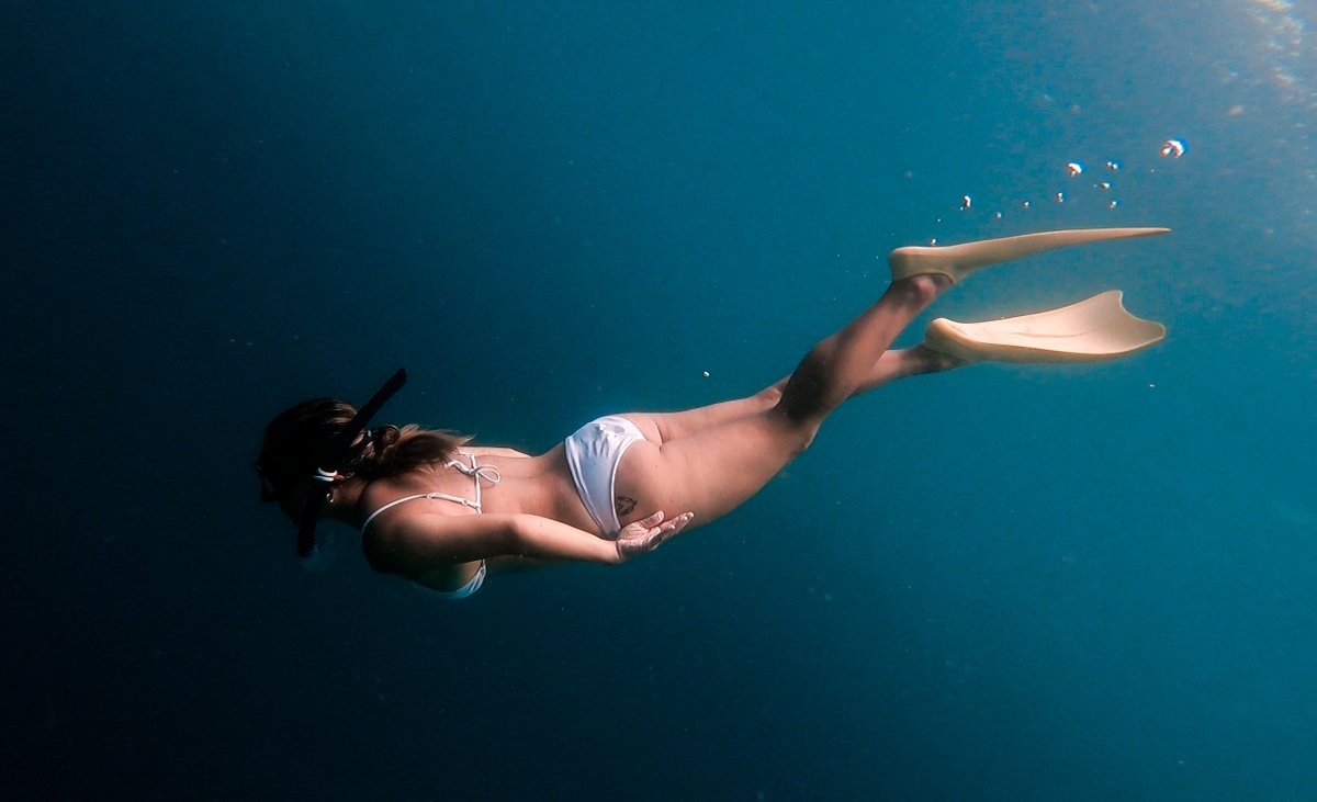 oceanlimitsph's tweet photo. Introduction to freediving
Student: Kit Quan
photo by Coach @iammarkdizon
#freediving #freediver #sea #travel #adventure #oceanlimitsph https://t.co/M7Esu0nysI