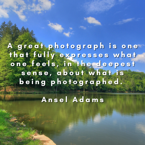 Lens DAO tweet media