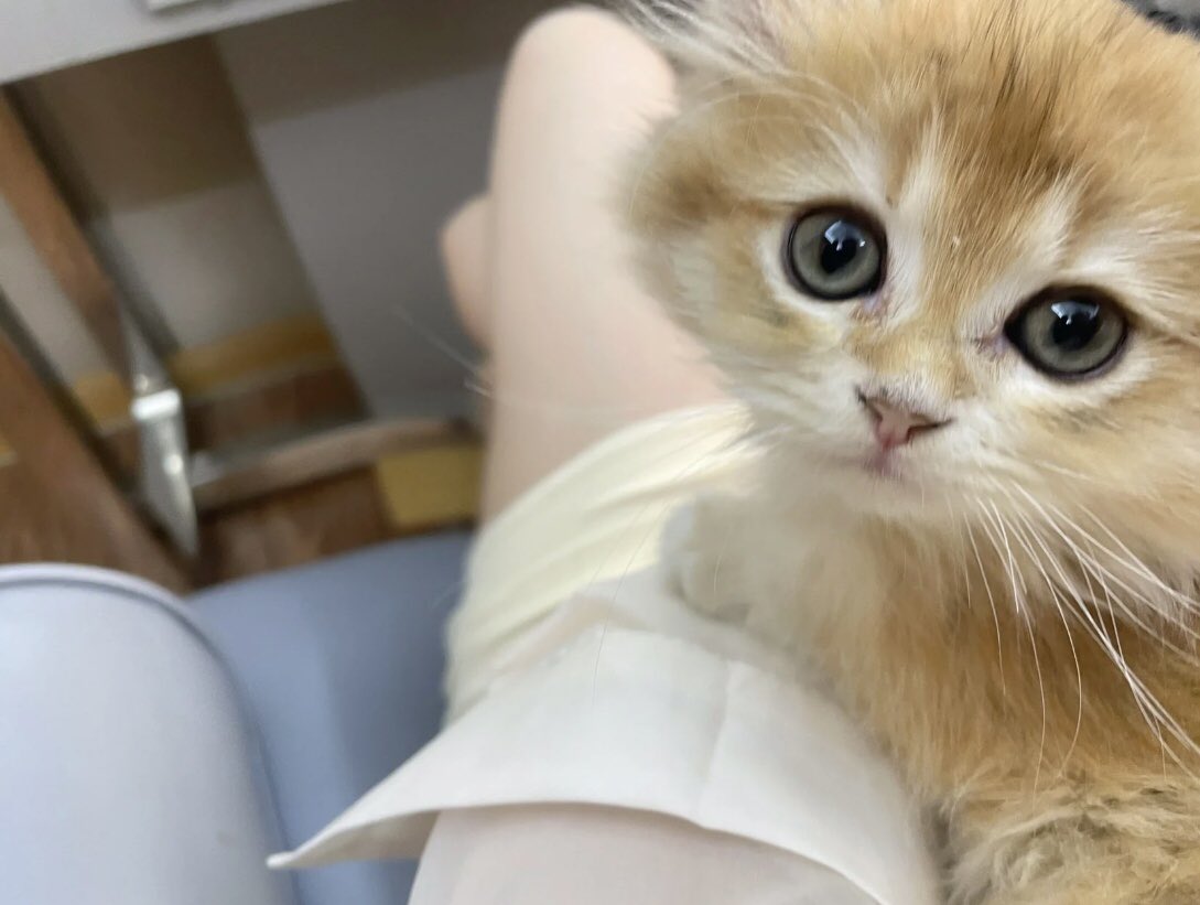 katavatesanket's tweet photo. Lovely baby https://t.co/6r57J4J8yk