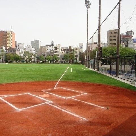baseball_crowd tweet picture