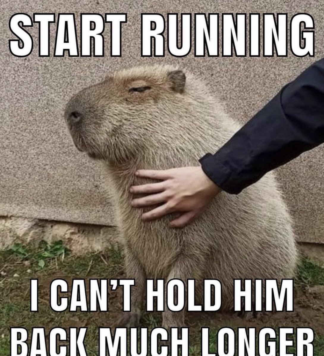 CapybaraCountry tweet picture