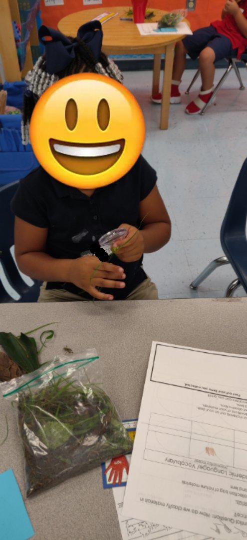 mrsbairdScience's tweet photo. Our Schmidt Kindergarten scientists went on a nature walk to collect specimens to examine with their science tools.  They also drew pictures of what they saw and we classified the items into different groups (textures, colors, size). @SchmidtSailors @WeAreHAEST @HCPSElemScience https://t.co/OUuNGQTwpJ
