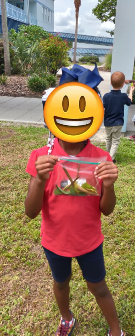 mrsbairdScience's tweet photo. Our Schmidt Kindergarten scientists went on a nature walk to collect specimens to examine with their science tools.  They also drew pictures of what they saw and we classified the items into different groups (textures, colors, size). @SchmidtSailors @WeAreHAEST @HCPSElemScience https://t.co/OUuNGQTwpJ