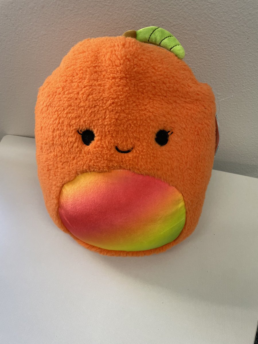 RobisonKenyon's tweet photo. So excited to get our new MLI Mascot!  Louie has dyslexia and he will be helping my learners through their journey. #CoppellMLI #Dyslexia  #squishmallows https://t.co/Kbsk4wHISW