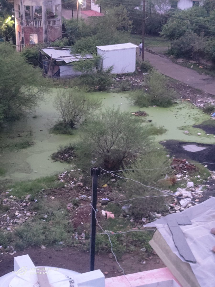 shanurajput0's tweet photo. No drainage..! Rain water is collected from many days. This is how empty land look like?
Risk of snakes, insects and many kinds of sickness?
Isn't it? This should be taken seriously..!
#Bhopal #environment @SwachhBhopal @TOIBhopalNews https://t.co/uoa2zBHMDx