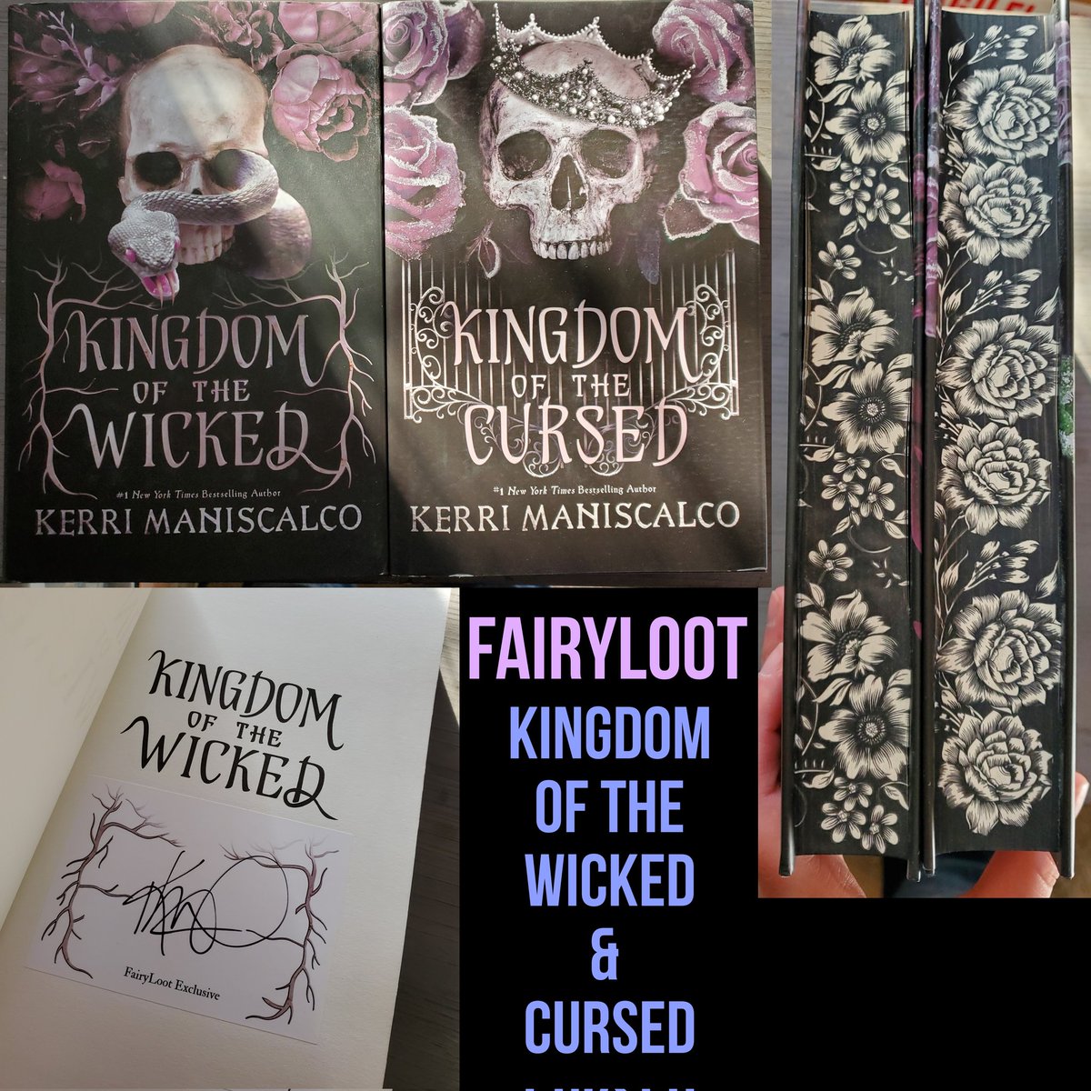tjuners's tweet photo. DISO the following titles:
1. US Babel Manuscript
2. UK A Day of the Fallen ARC
3. UK Priory of the Orange Tree ARC
4. UK The Ballad of Never After ARC
5. UK Empire of the Vampire ARC

Have more available than what is shown!
#arcsfortrade 
#booksfortrade https://t.co/kByuNhkK31