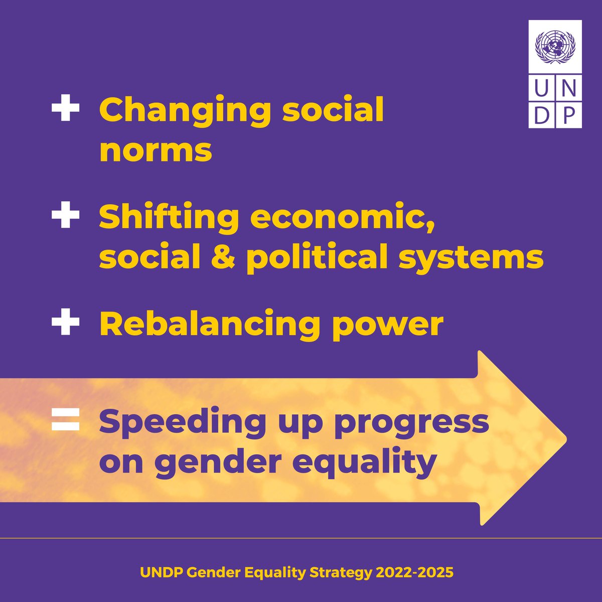 Global crises are threatening gender gains. @UNDP's new #GenderEqualityStrategy helps countries to shift power structures and economic, social and political systems to advance gender equality. 👉 undp.org/publications/g…