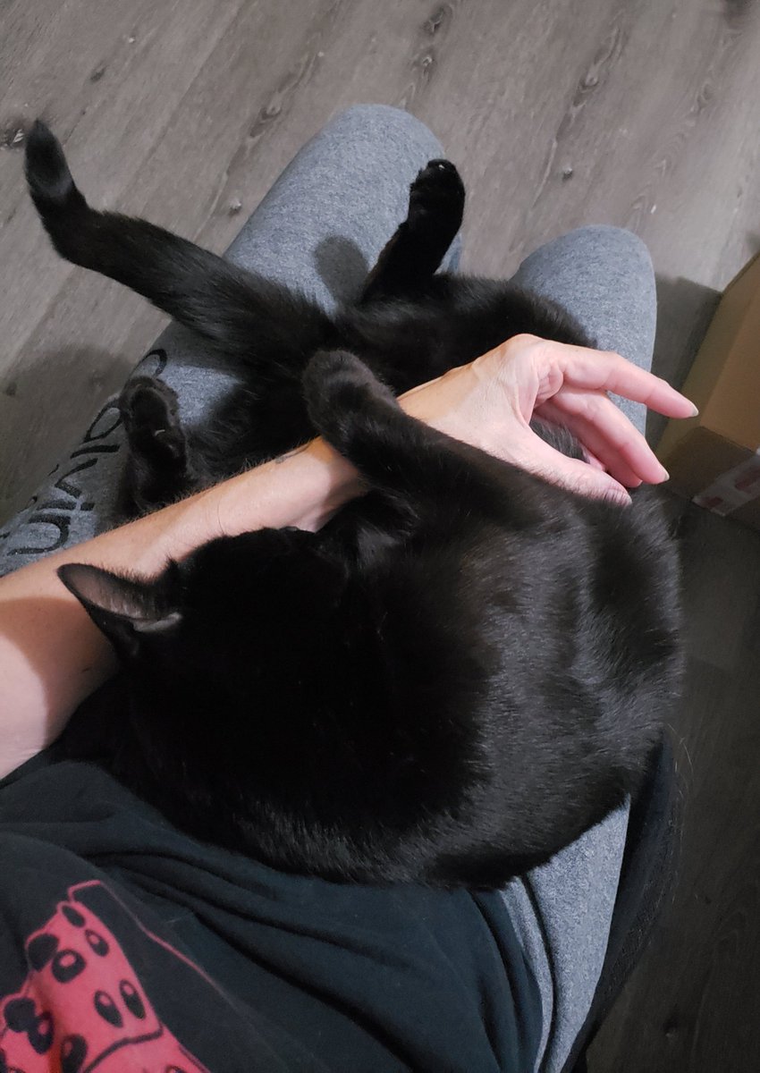 BabyPanther3's tweet photo. https://t.co/fuP4ZxB6ca