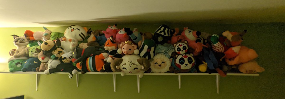 ButlerRalsei's tweet photo. @youtooztodd heres what 53 plushies on a single shelf looks like https://t.co/KPXJXfBwAm