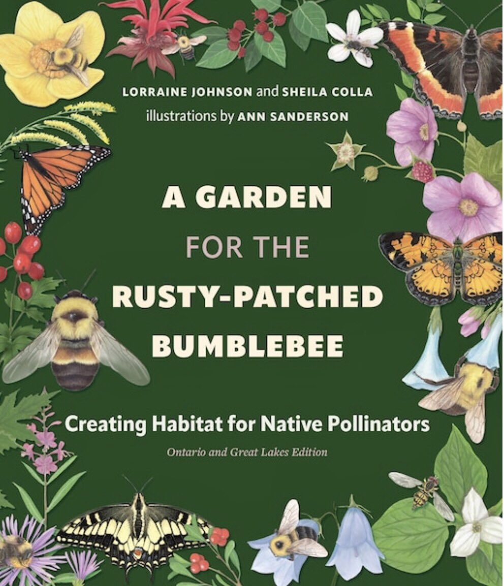 Corktown Common tweet media