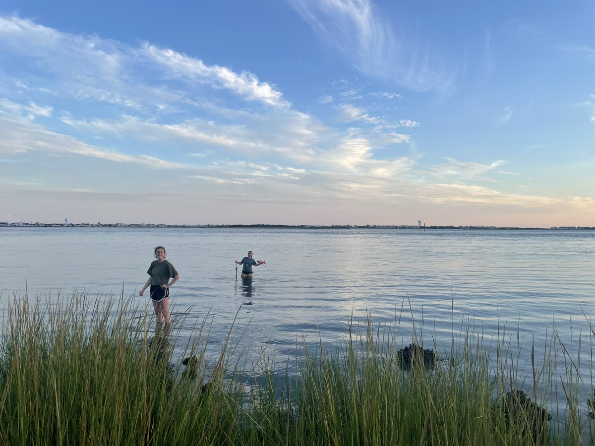 Just finished a bit of field work today for my capstone project on living shorelines. My group is working on sediment deposition and geomorphology. Can't wait to see how this project develops!