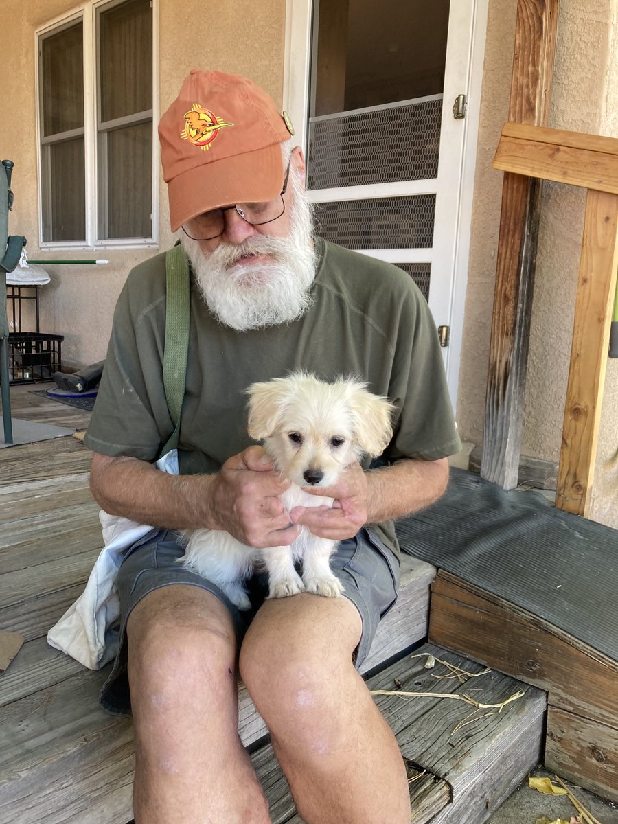 RodGetting's tweet image. I met this puppy at the vet clinic and helped her meet her forever family.