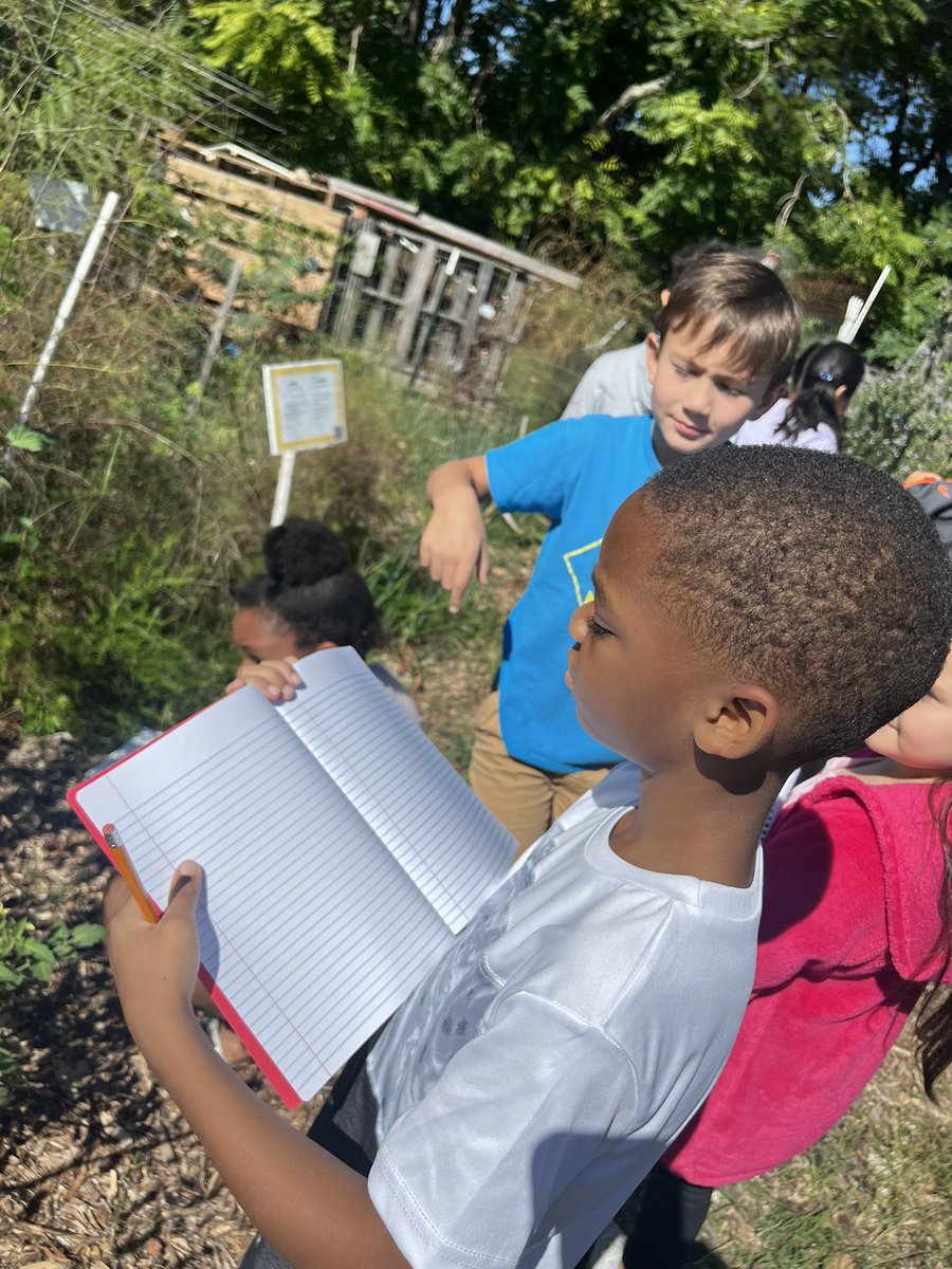 #BecauseofArtsEd, 3rd graders joined community gardeners, Band teacher, & Magnet Coordinator for an #ArtsIntegration activity bringing the study of plant growth to life. #compareandcontrast #sketchanddraw #realworldconnections #ArtsinEdWeek @WSFCS_Science @AplusSchoolsNC @wsfcs