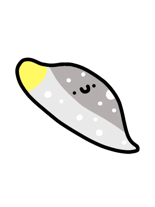 ワカウツボ 