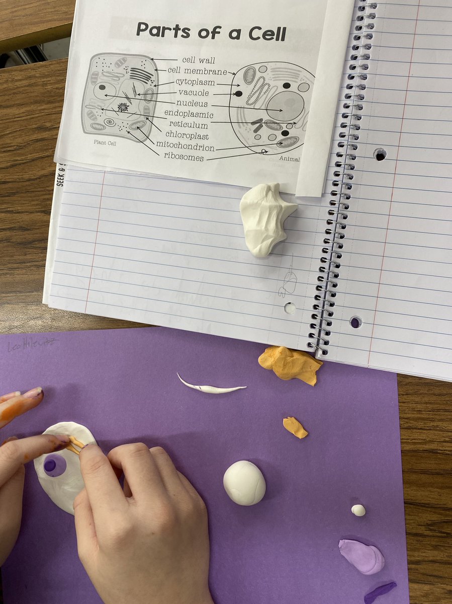 anna wydeven (she/her) tweet media