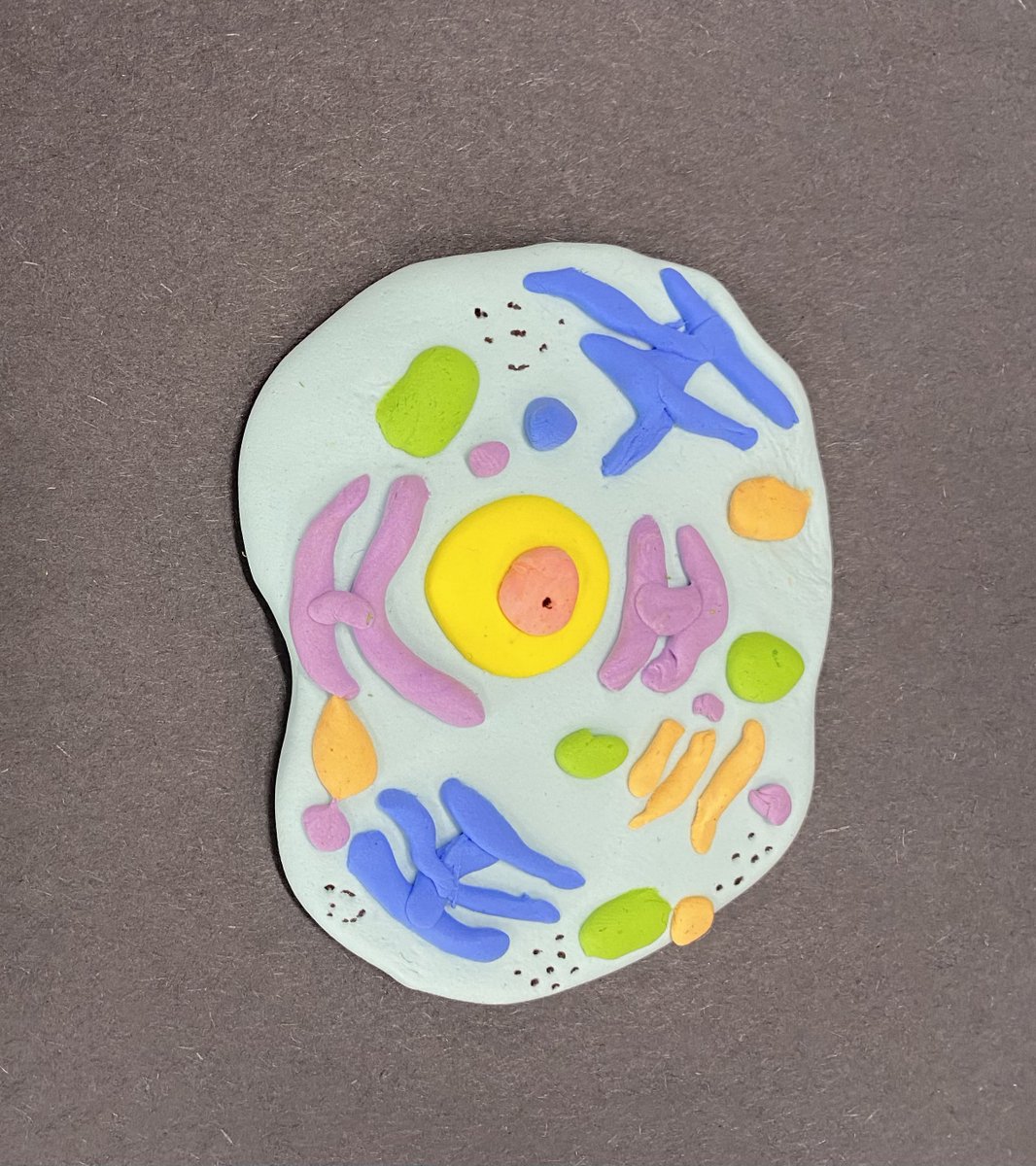 anna wydeven (she/her) tweet media