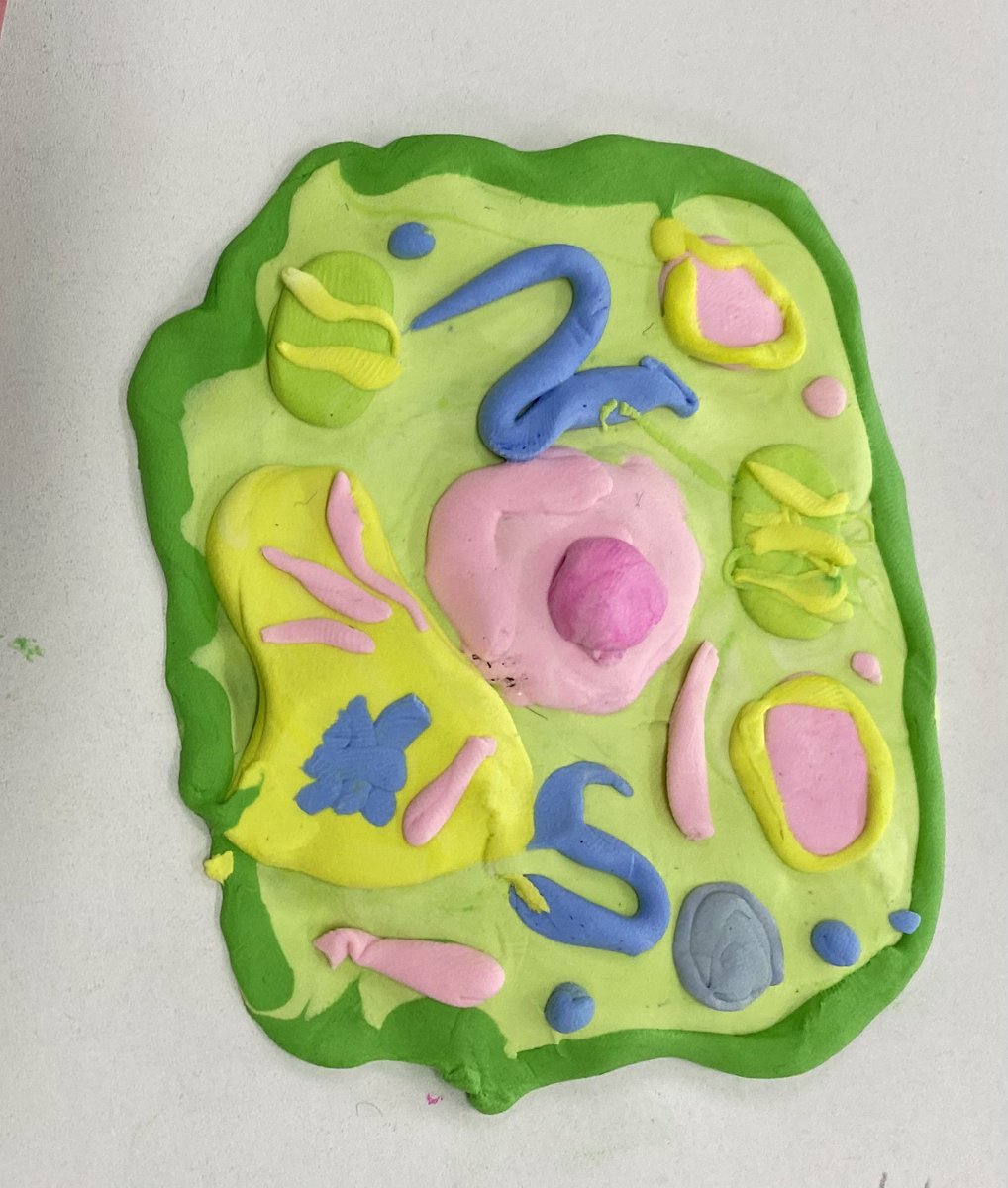 anna wydeven (she/her) tweet media