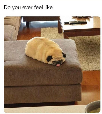 Friday meeting vibes 😆