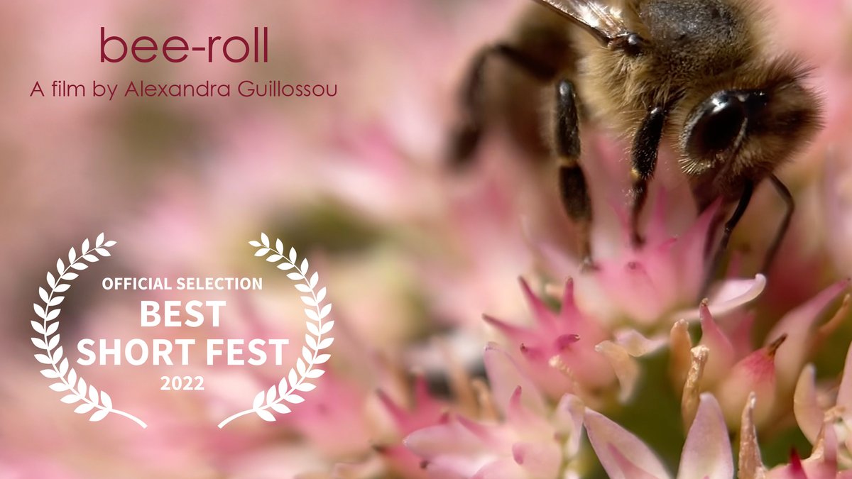 I'm so excited to have "bee-roll" as an Official Selection in <a href="/bestshortfest/">Best Short Fest</a>!