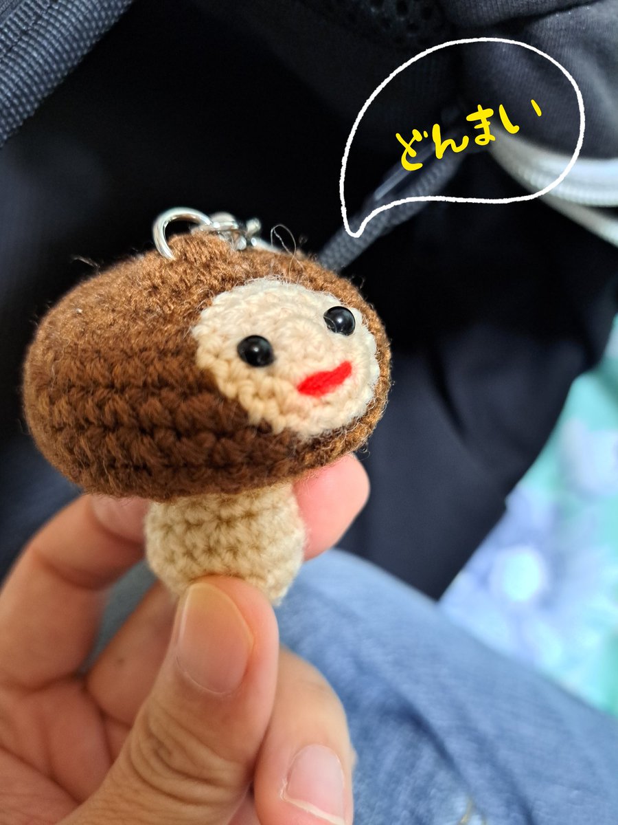 癒しのしいたけを眺めて落ち着きます。