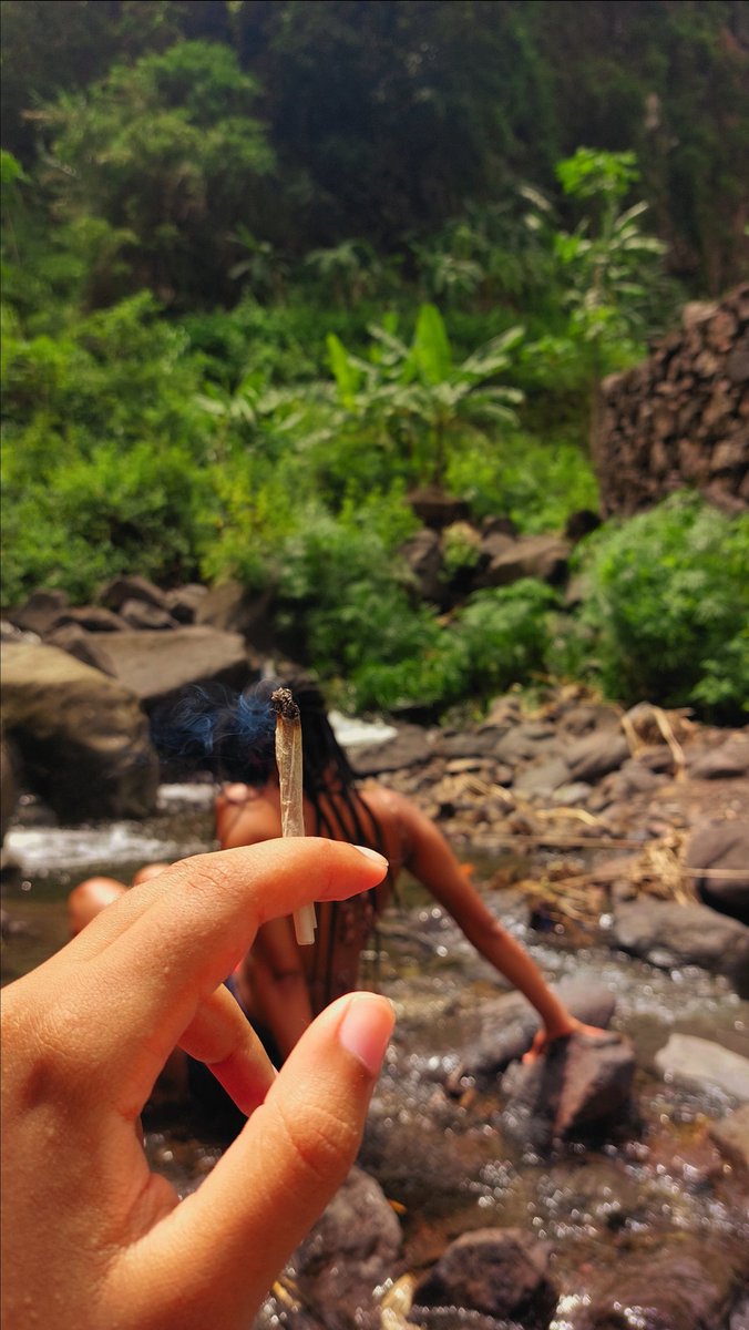 kikausss's tweet photo. ANTI-STRESS 🍃💫 https://t.co/QTAuOYyh2G