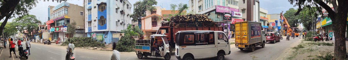 adm431's tweet photo. Yet another mass murder &amp; funeral procession is just about to start !#SWD #RWH @chennaicorp 
We miss the fact that trees bring rain &amp; with no trees, there would be no/very little rain and no purpose for storm water drains &amp; no water to harvest!
#GodSave #GoingGreen or #GoneGreen! https://t.co/QGJMiHcgZ5