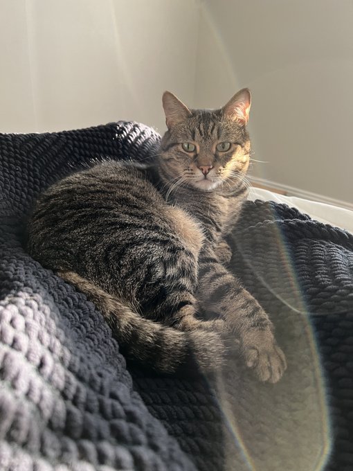 Jonesy!!! ❤️ https://t.co/NDqsxlXLvN