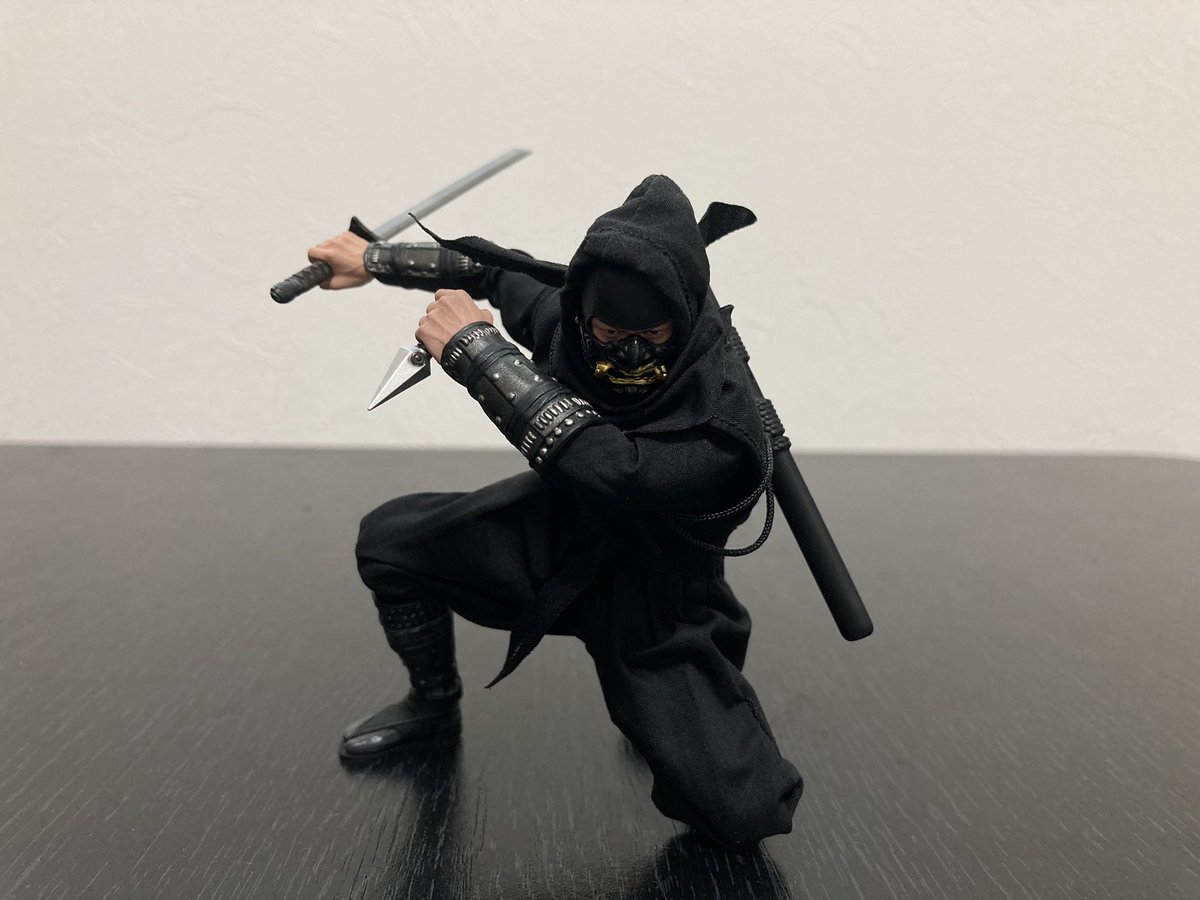 madalman1's tweet image. 闇影忍者🥷

クオリティー高し。
付属品も多く可動も良いです。
良い買い物でした。

#6inchplus
#vtoysstudio
#ShadowNinja
#一生遊べるやつ