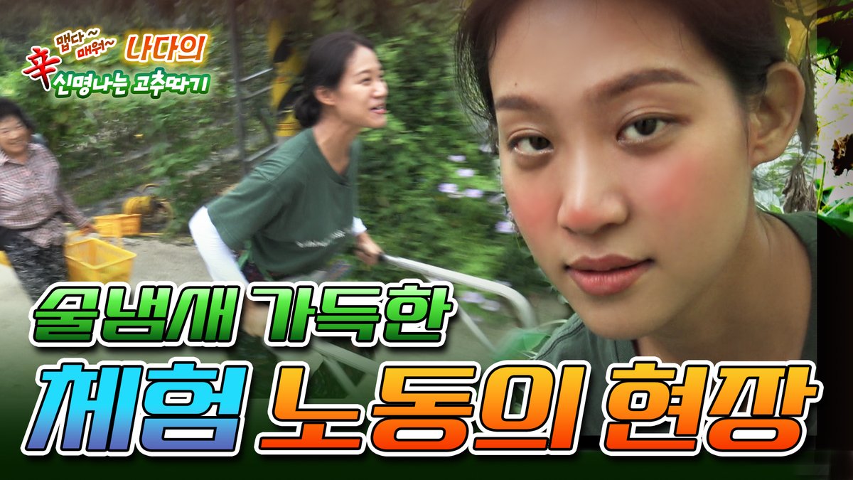 [전국노동자랑]
🙋🏻‍♀️:"고추는 어떻게 따요?"
🧑🏻‍🦱:"고추는 그냥 나무 제치고 막 뜯으면 되지"
전국노동자랑 상금벌러 고추전문가(?) 나다가 홍천에 떴다!

전국노동자랑 스핀오프 보러가기🏃‍♀️
youtu.be/kFIxf0ebofQ